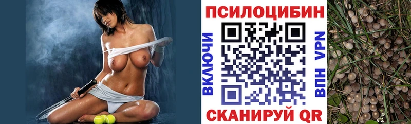 Галлюциногенные грибы Psilocybe  где купить   Мураши 